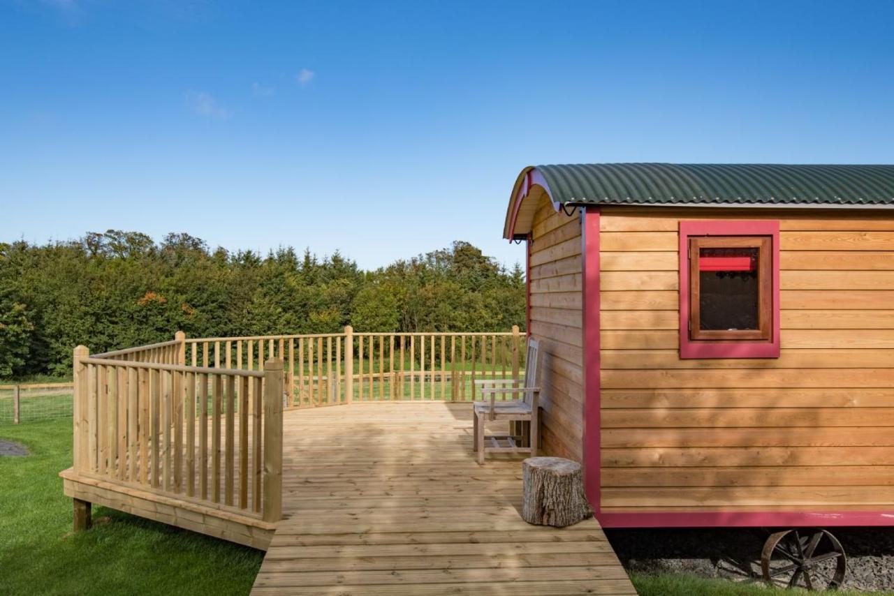 Foxglove Shepherd'S Hut 特维德上游的贝里克 外观 照片